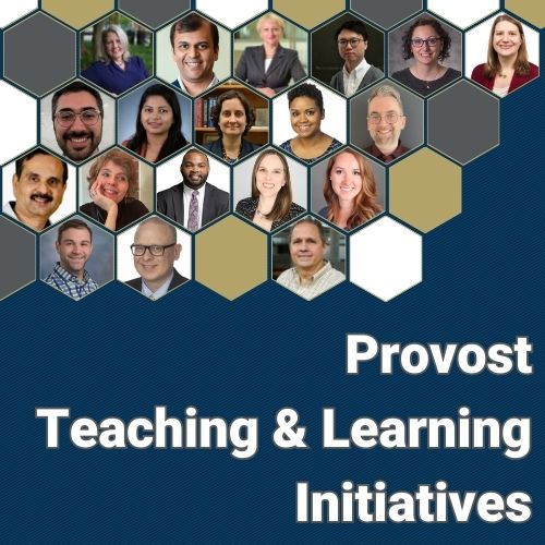 Provost Teaching and Learning Initiatives faculty.